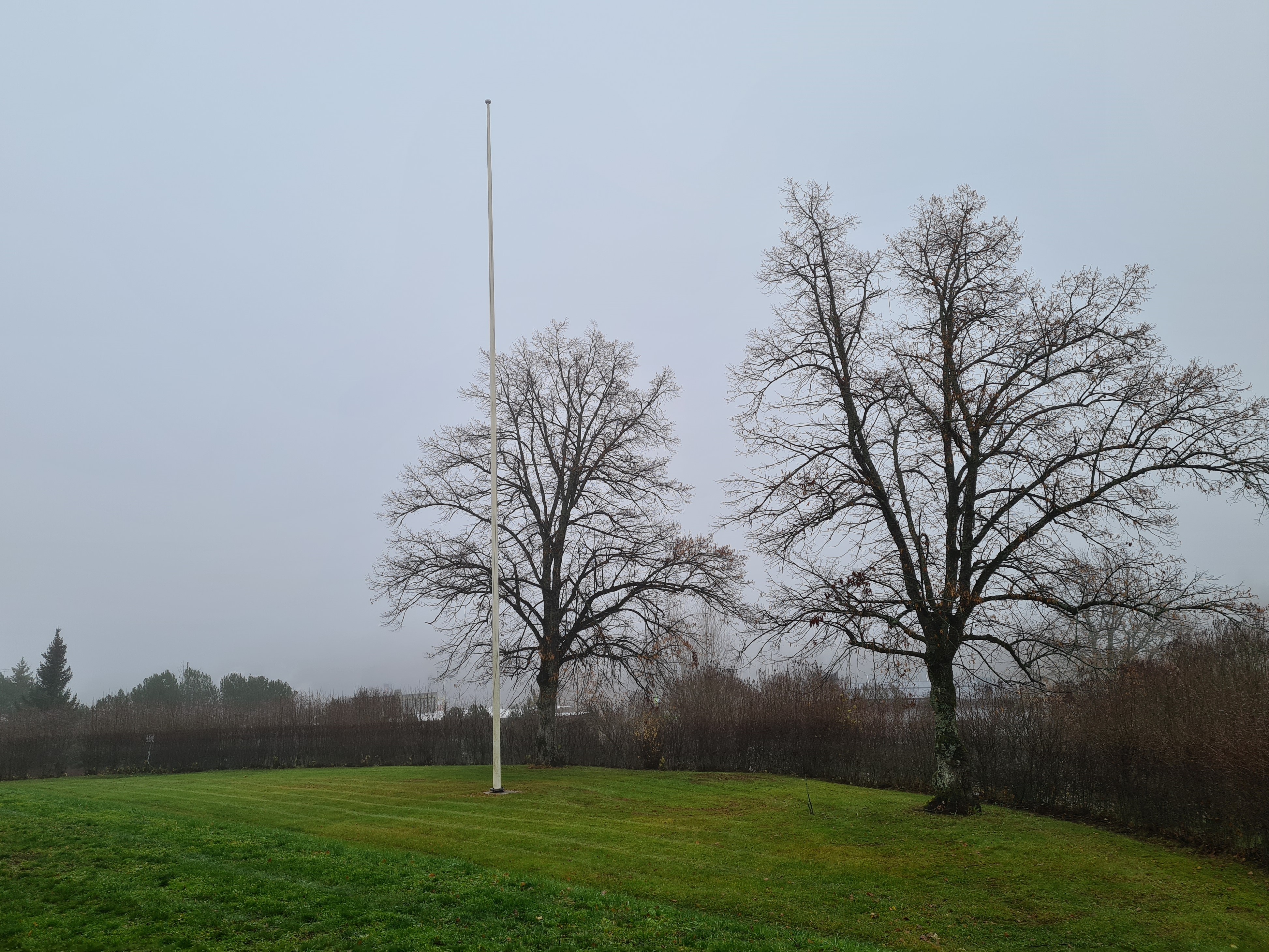 Sumuinen harmaa maisema museon takapihalla.