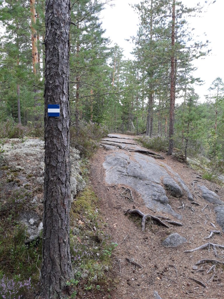 Reitti 2000 Vaakkoin ulkoilualueella vuonna 2019. Kuvan luvaton käyttö on kiellettyä. Kuvaaja: M.Viljanen