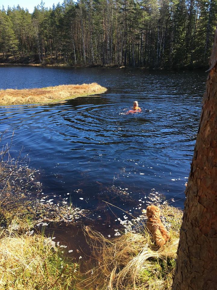 Katri Wermundsen pulahtamassa Vähä-Saarilammella vuonna 2017