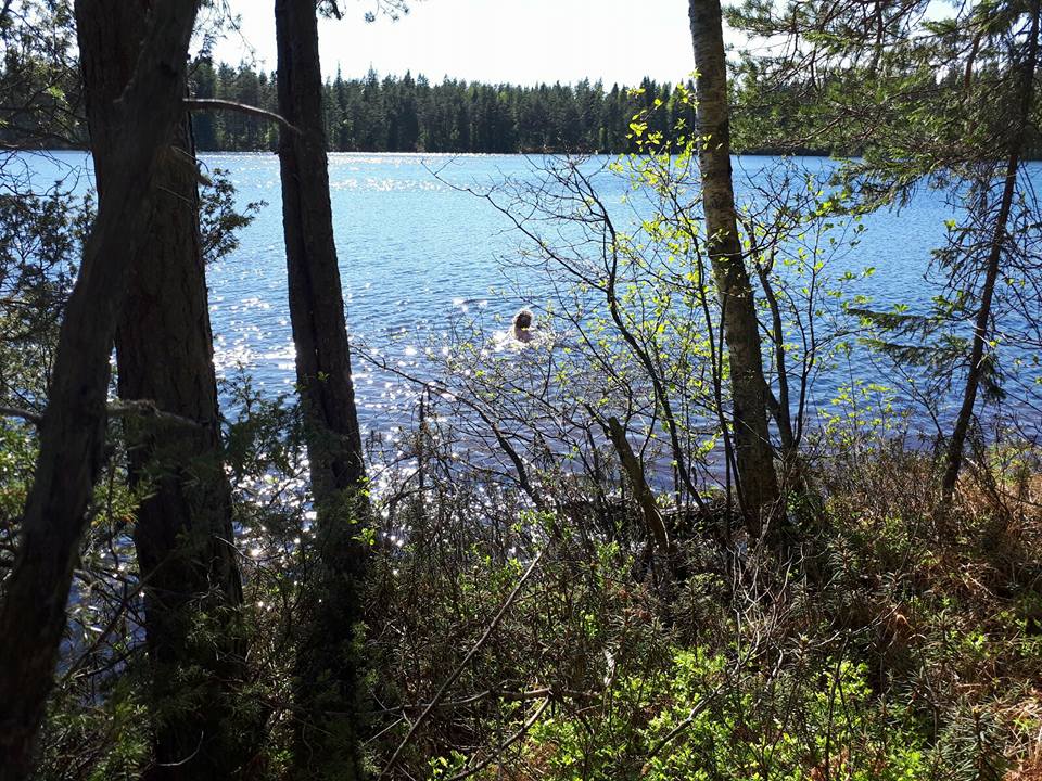 Kirsi Hatanpää Vaakkoissa vuoden 2017 pulahdushaasteessa