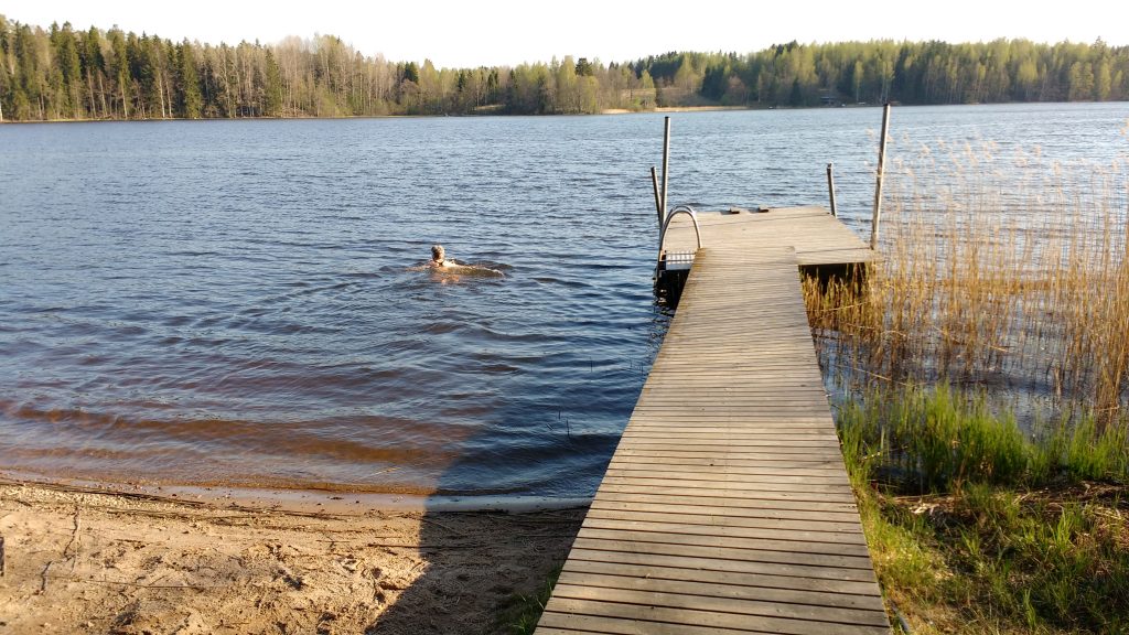 Liisa Knuts-Alho pulahtamassa 16/100 Palojärvellä vuonna 2017