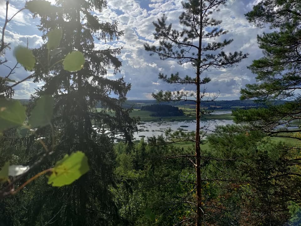 Pauliin Salo Märjamäentien kalliolla kohde 89/100 vuonna 2021